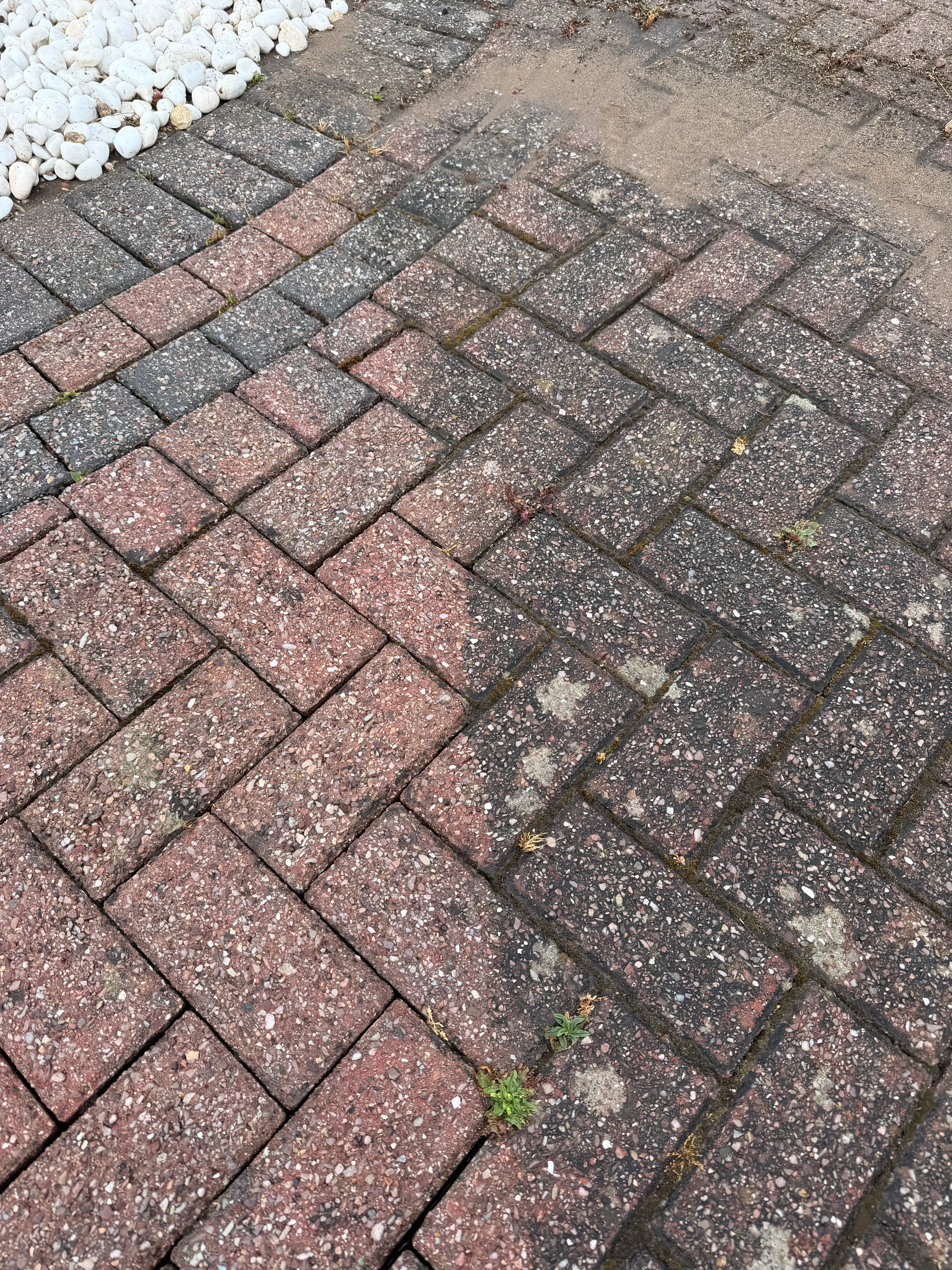 Patio in Derby after pressure washing: clean paving stones with no algae or black spot